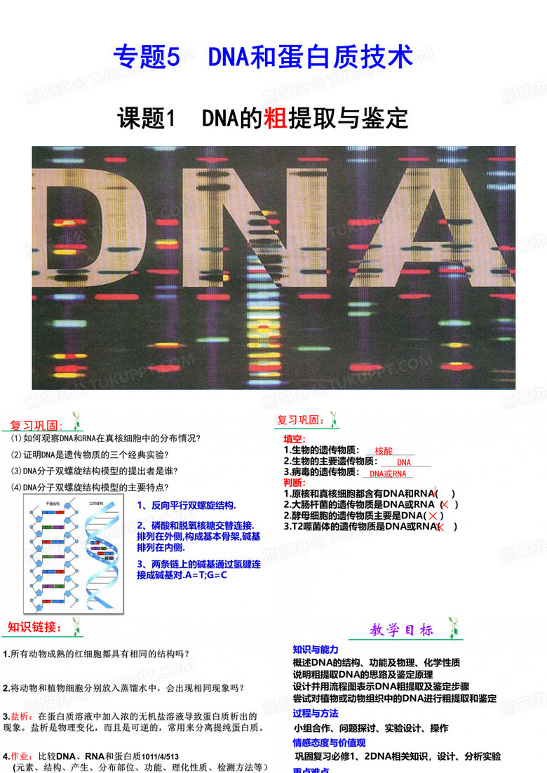 DNA的粗提取与鉴定