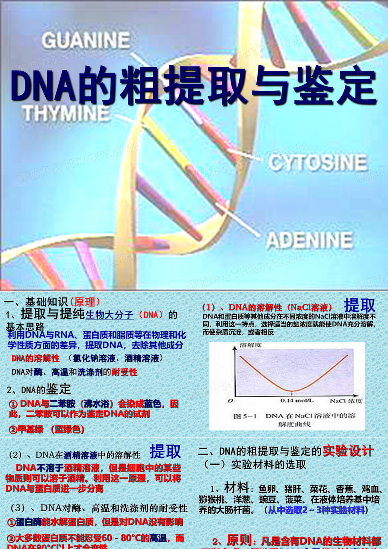 DNA的粗提取与鉴定