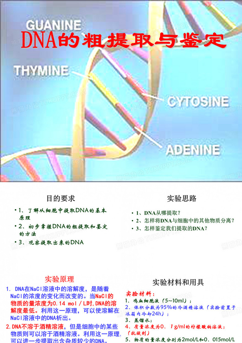 DNA粗提取与鉴定