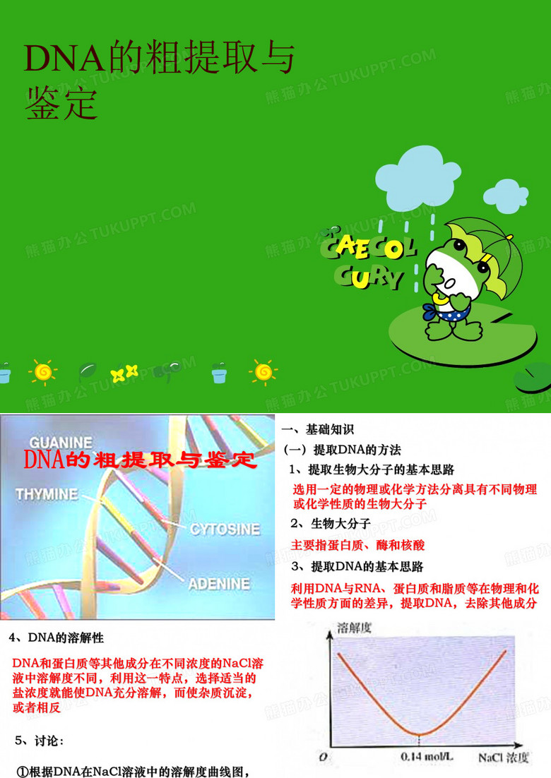 DNA的粗提取与鉴定
