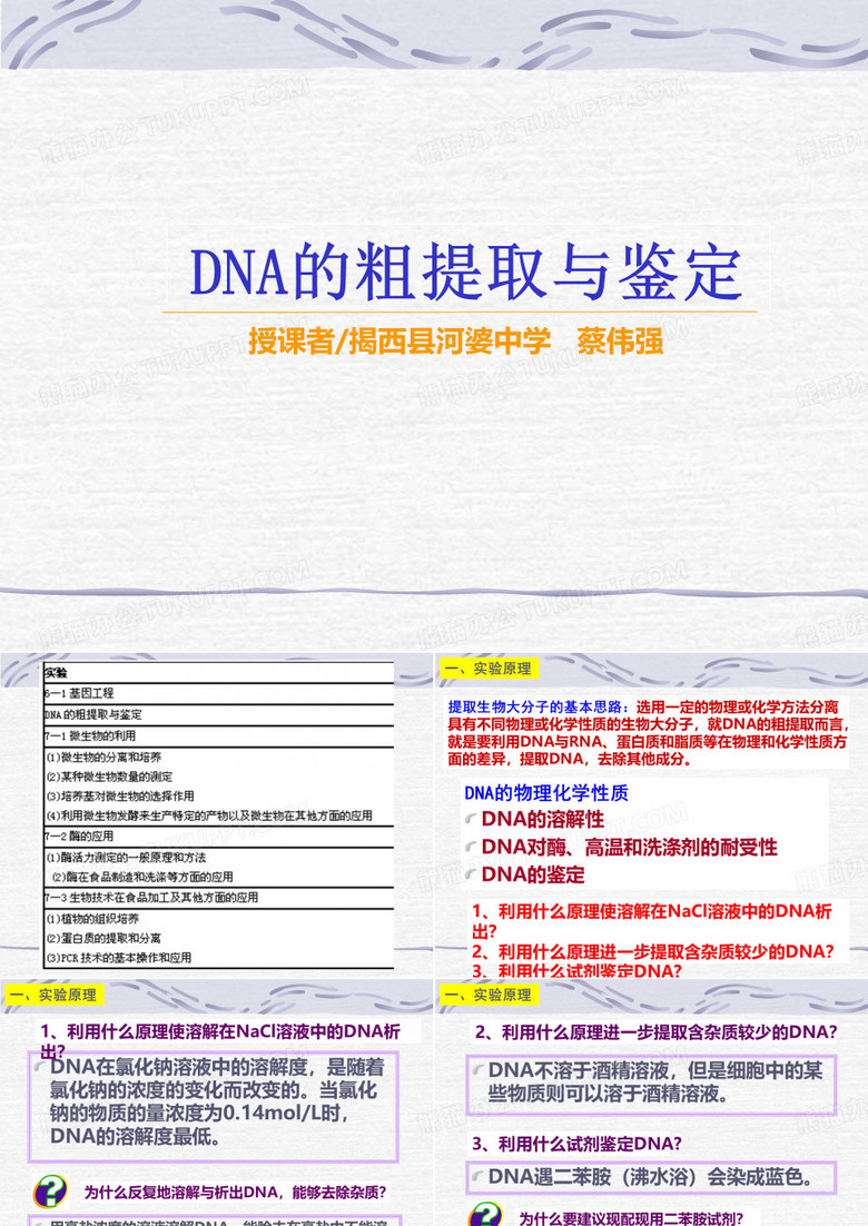 DNA的粗提取与鉴定