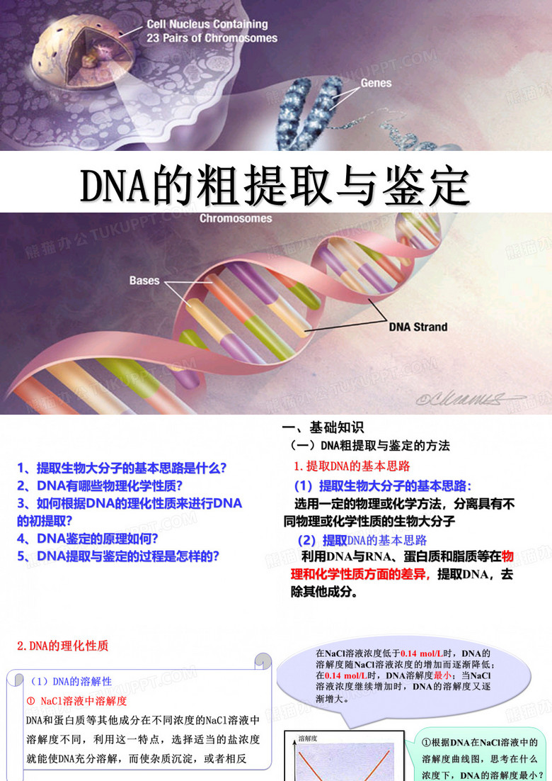 DNA的粗提取与鉴定