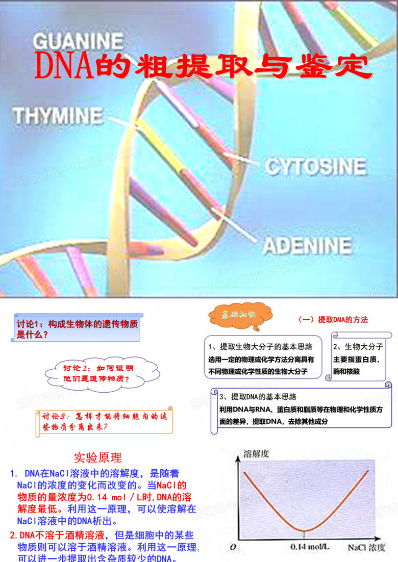 《DNA的粗提取与鉴定》课件