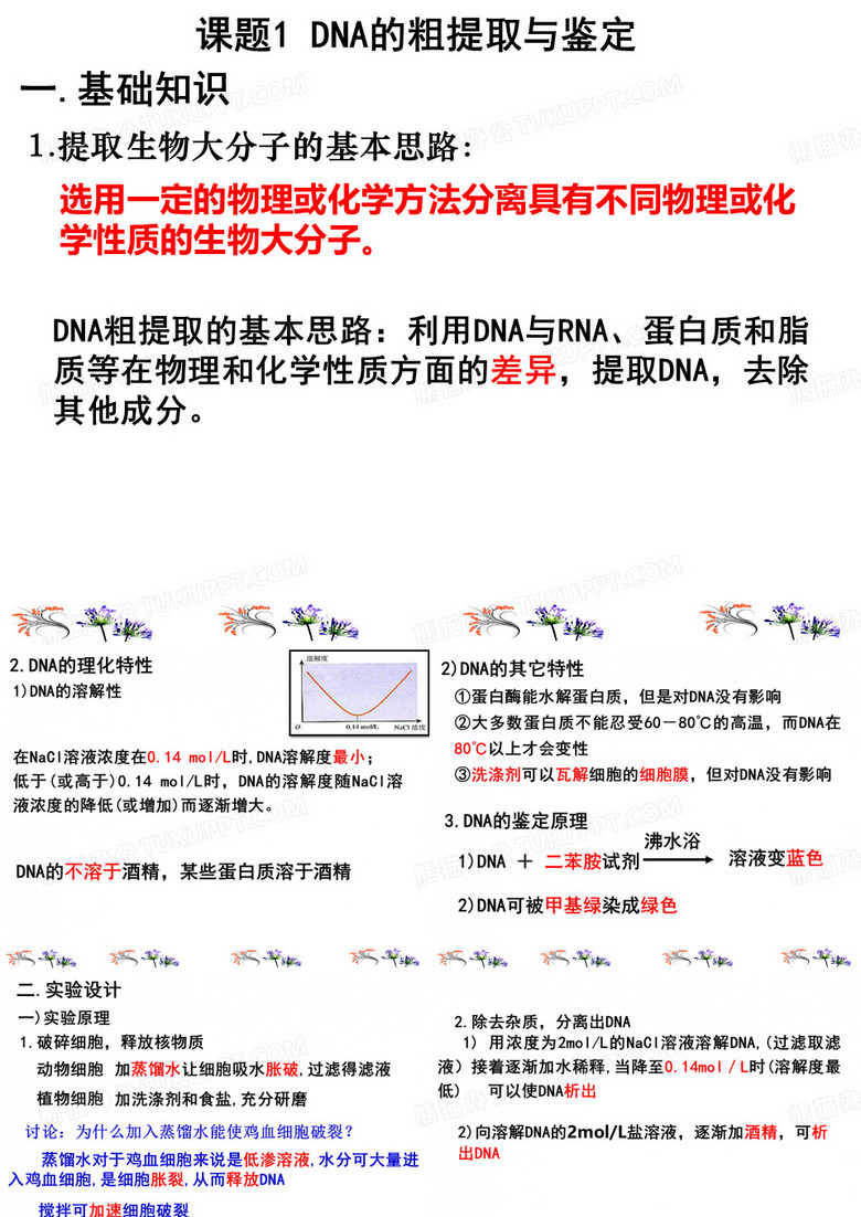 DNA的粗提取与鉴定(实验)