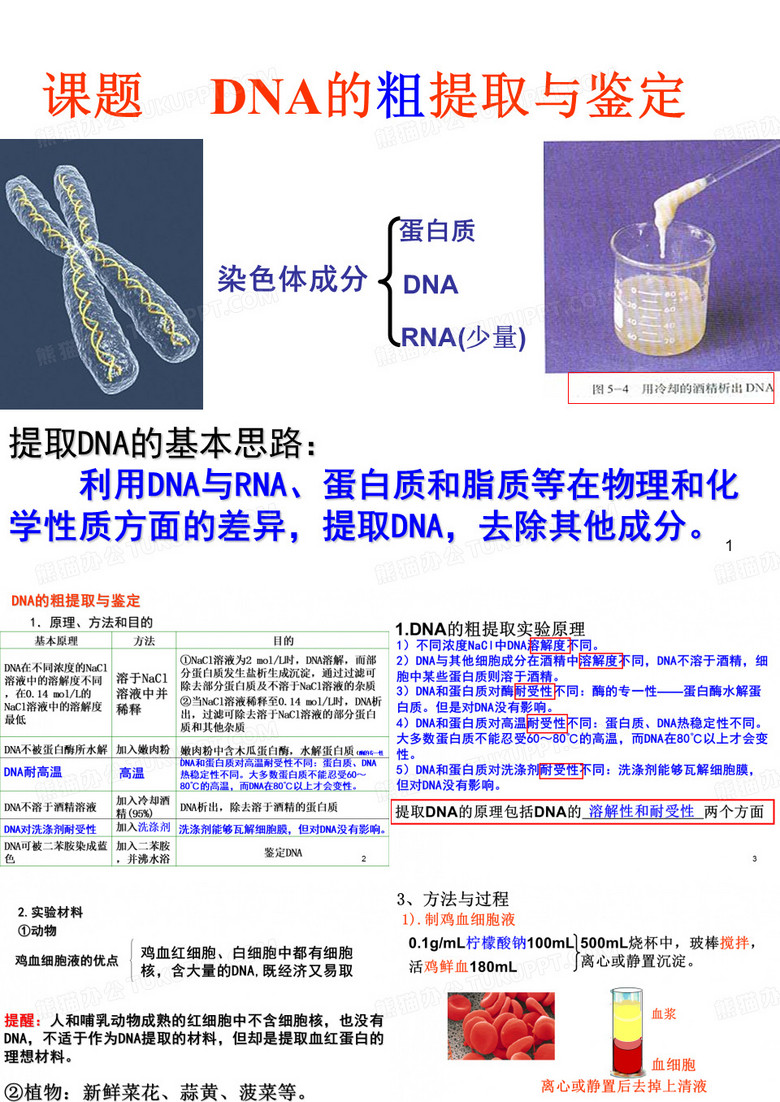 DNA的粗提取和鉴定