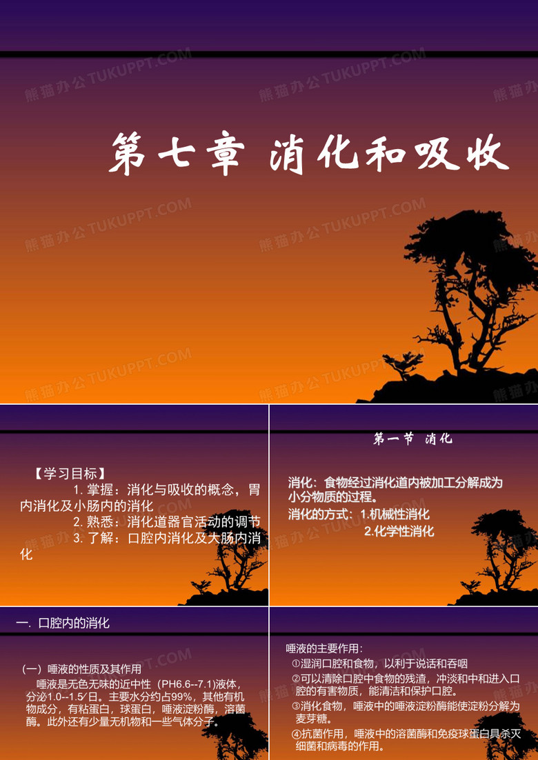 消化和吸收生理学