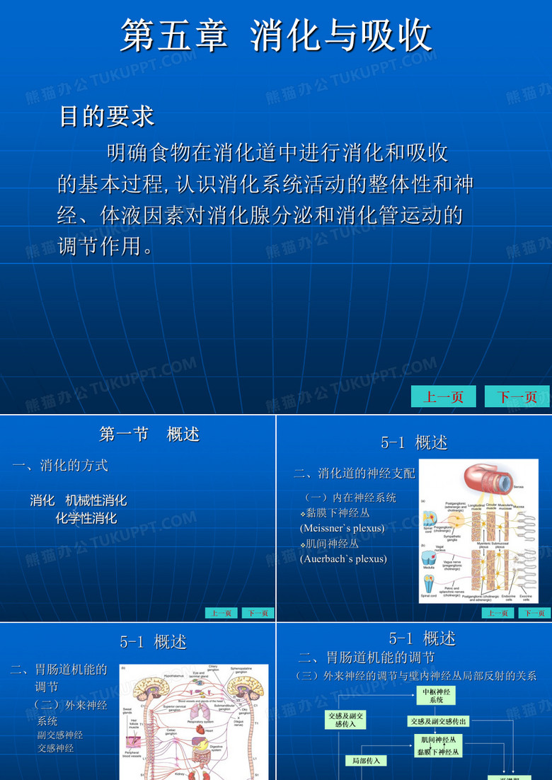 生理学消化吸收