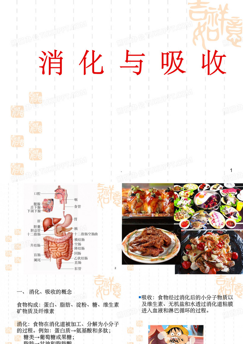 生理学基础消化和吸收