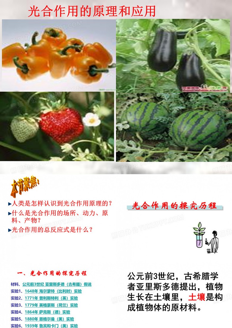 光合作用的原理和应用
