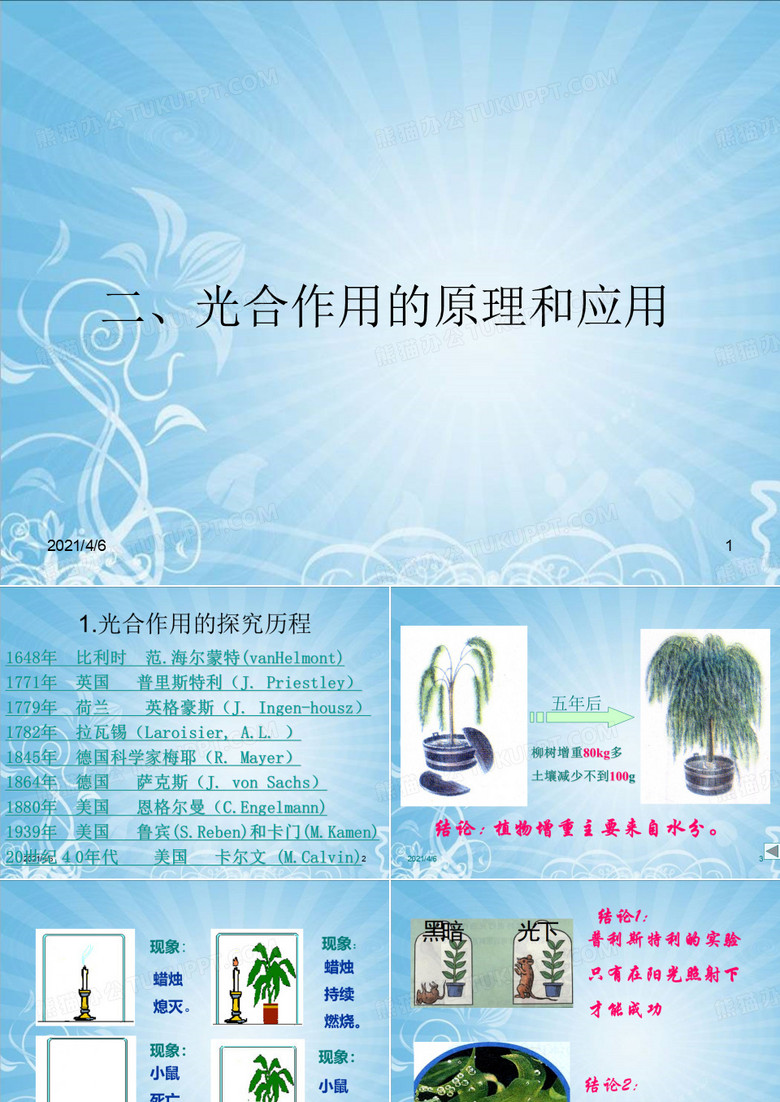 光合作用的原理和应用