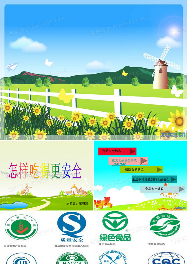 六年级上册综合实践