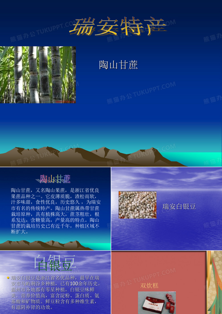 瑞安特产