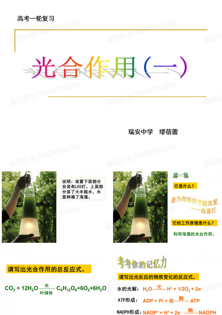 光合作用(瑞安中学  缪蓓蕾)