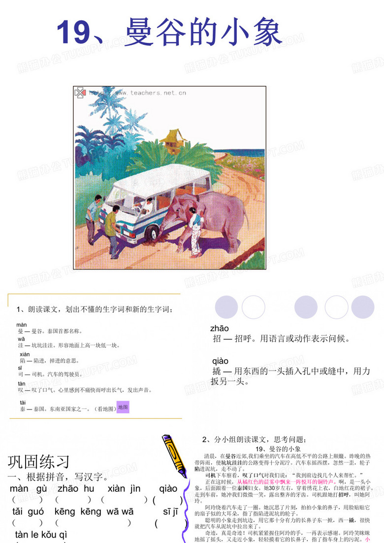 19、曼谷的小象