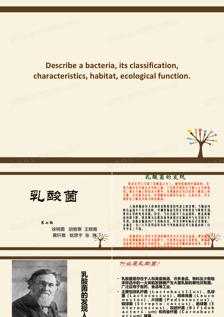 乳酸菌