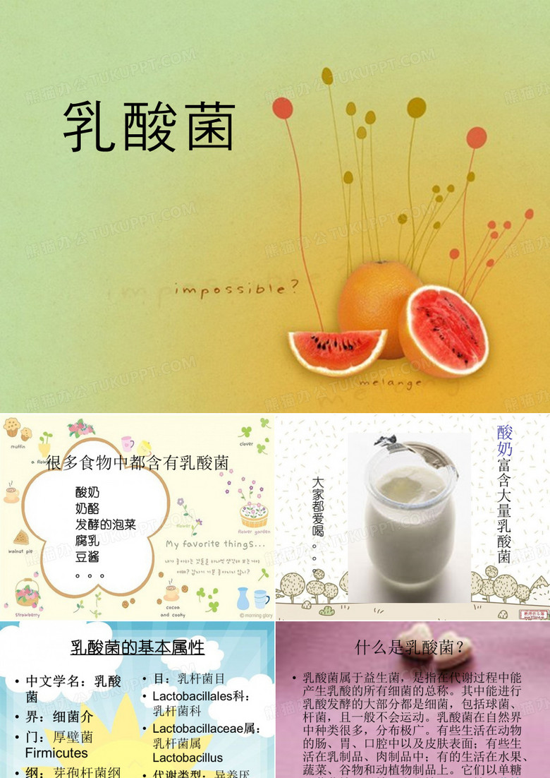 《乳酸菌》ppt