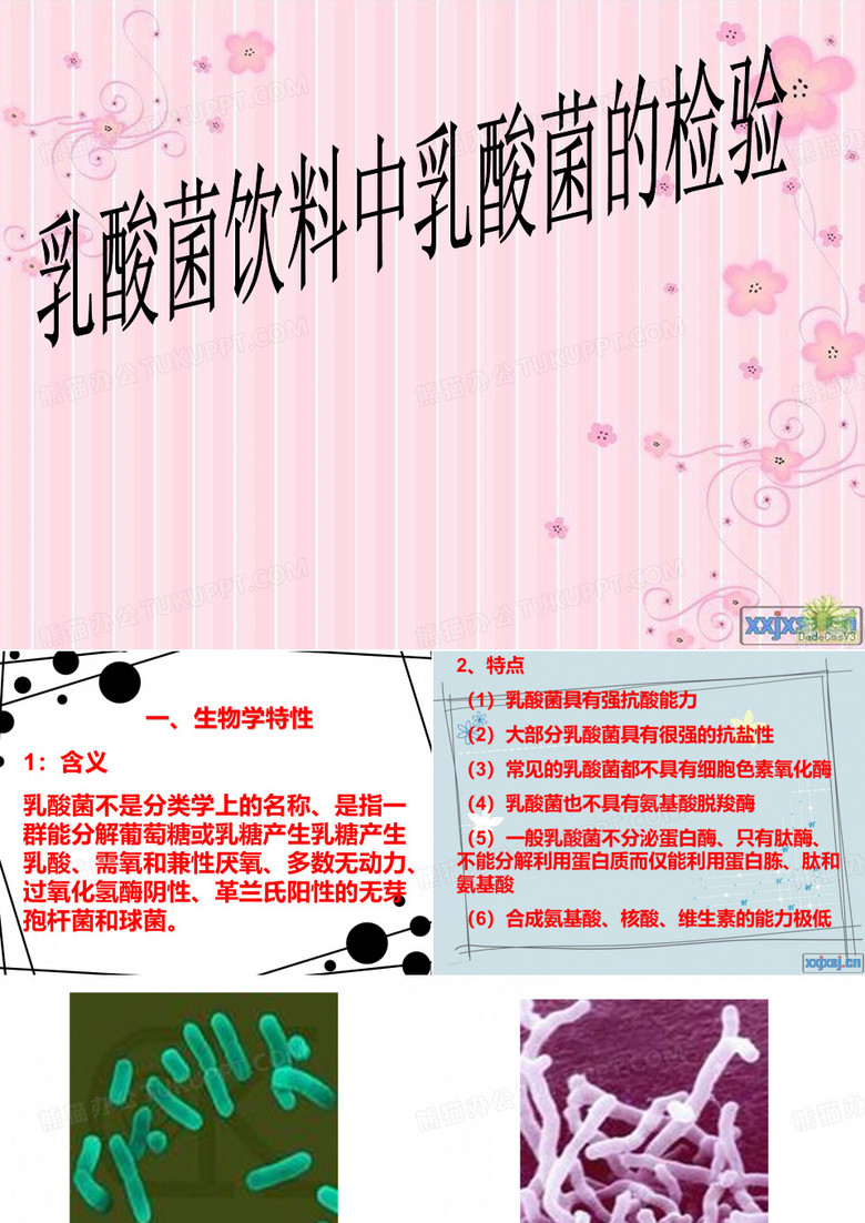 乳酸菌的检验