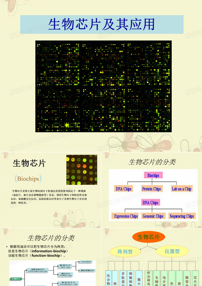 7 基因芯片