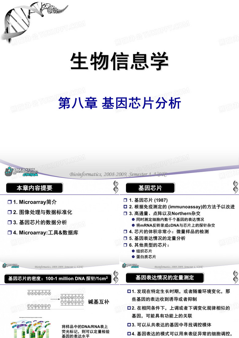 基因芯片分析