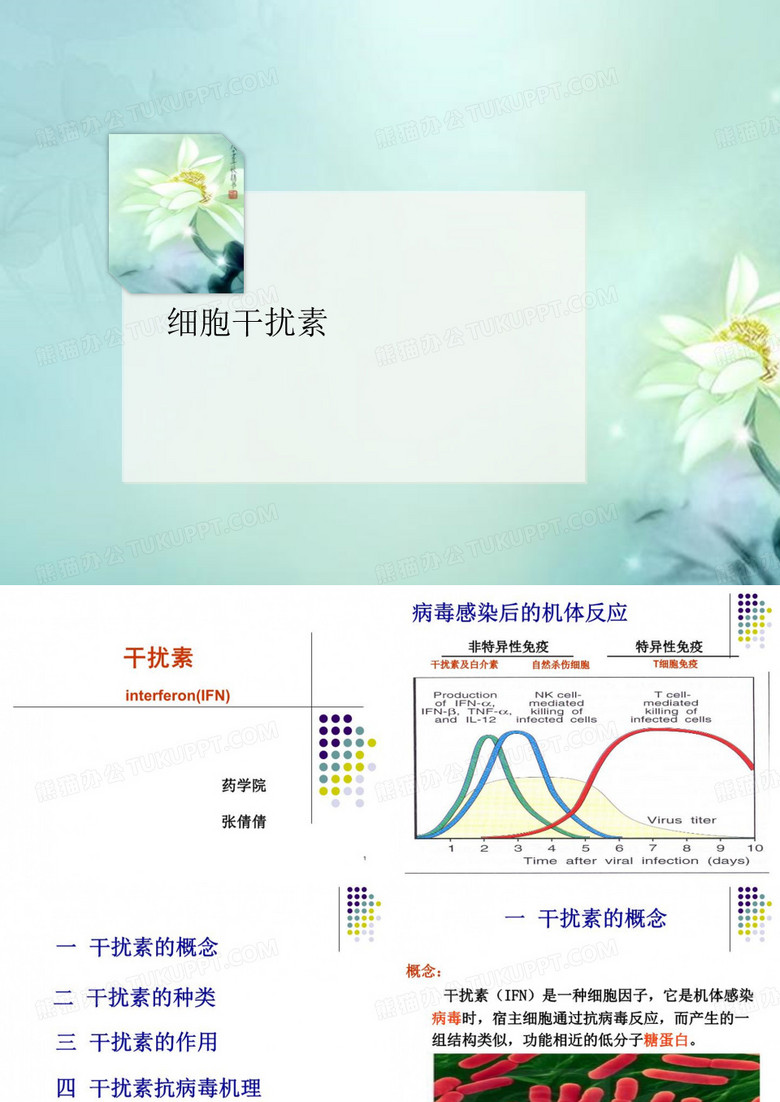 细胞干扰素