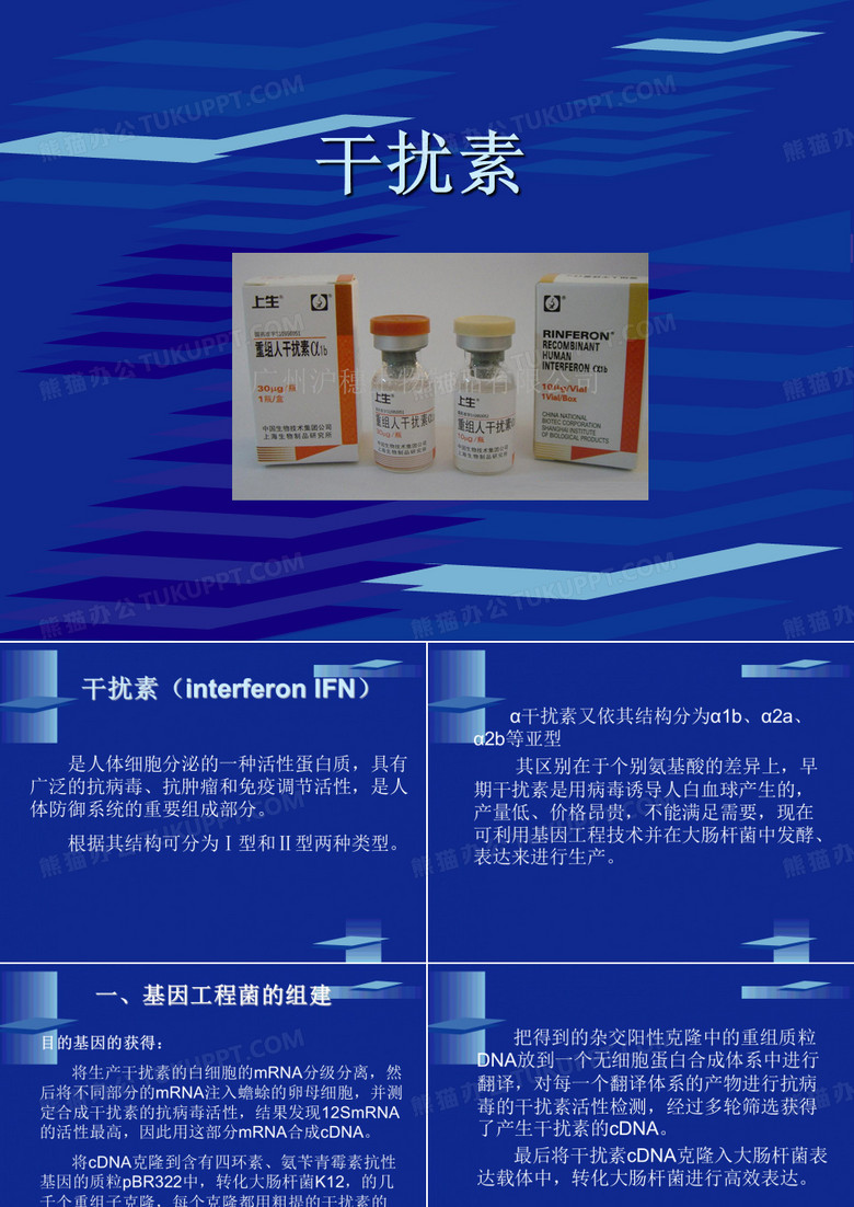 干扰素的制备