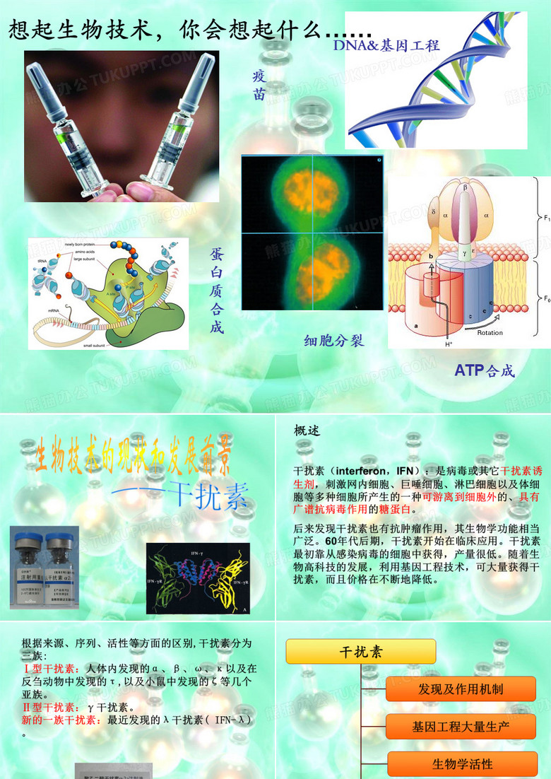 干扰素简介