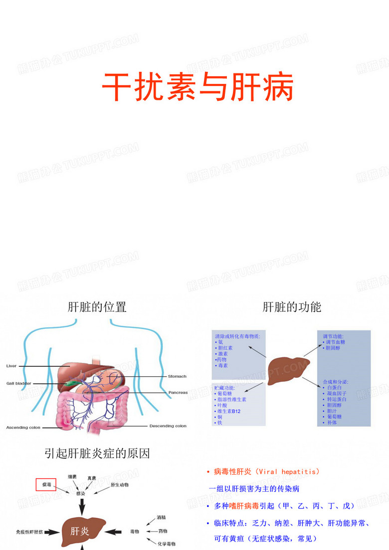干扰素与肝病