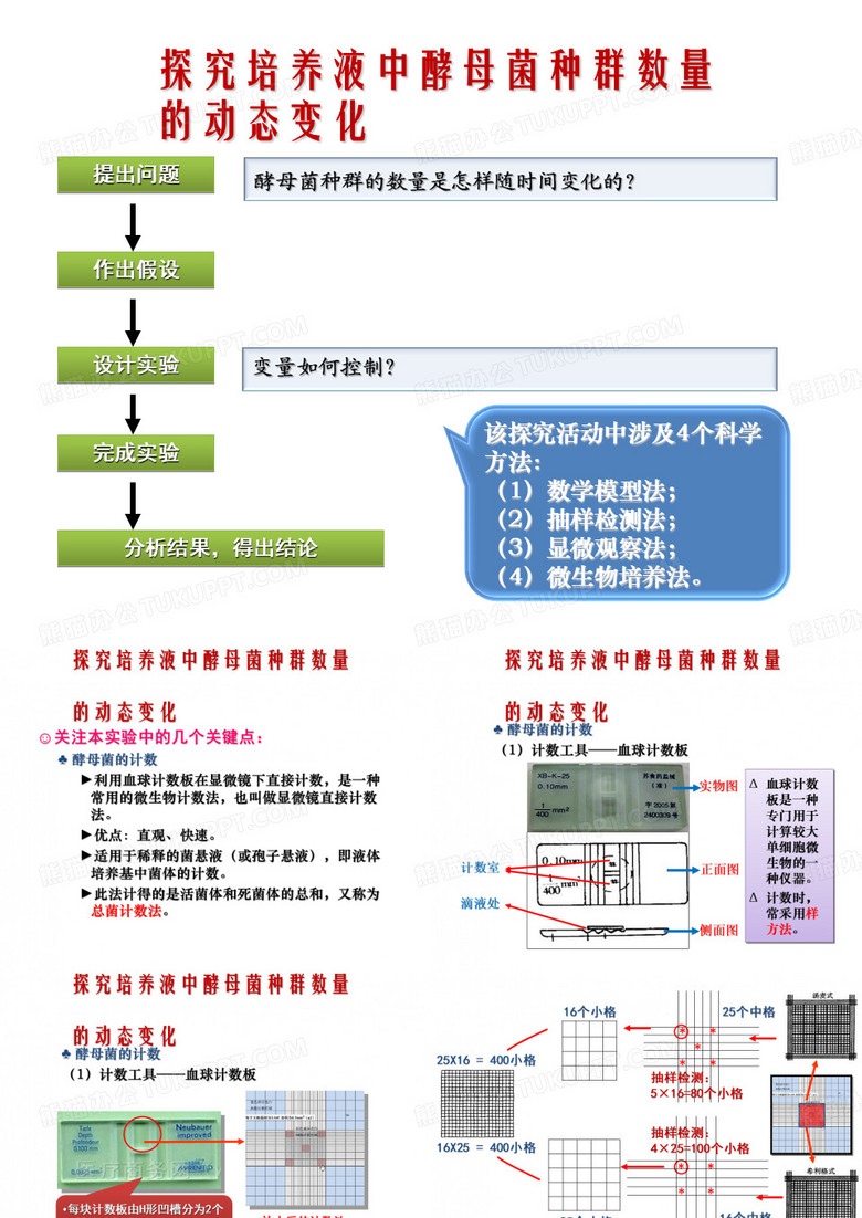 酵母菌的计数