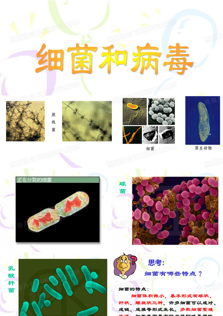 病毒和细菌