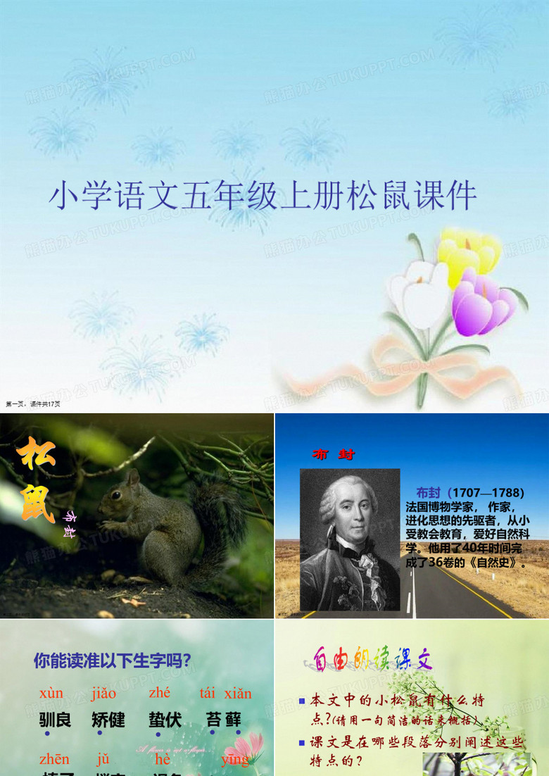 小学语文五年级上册松鼠