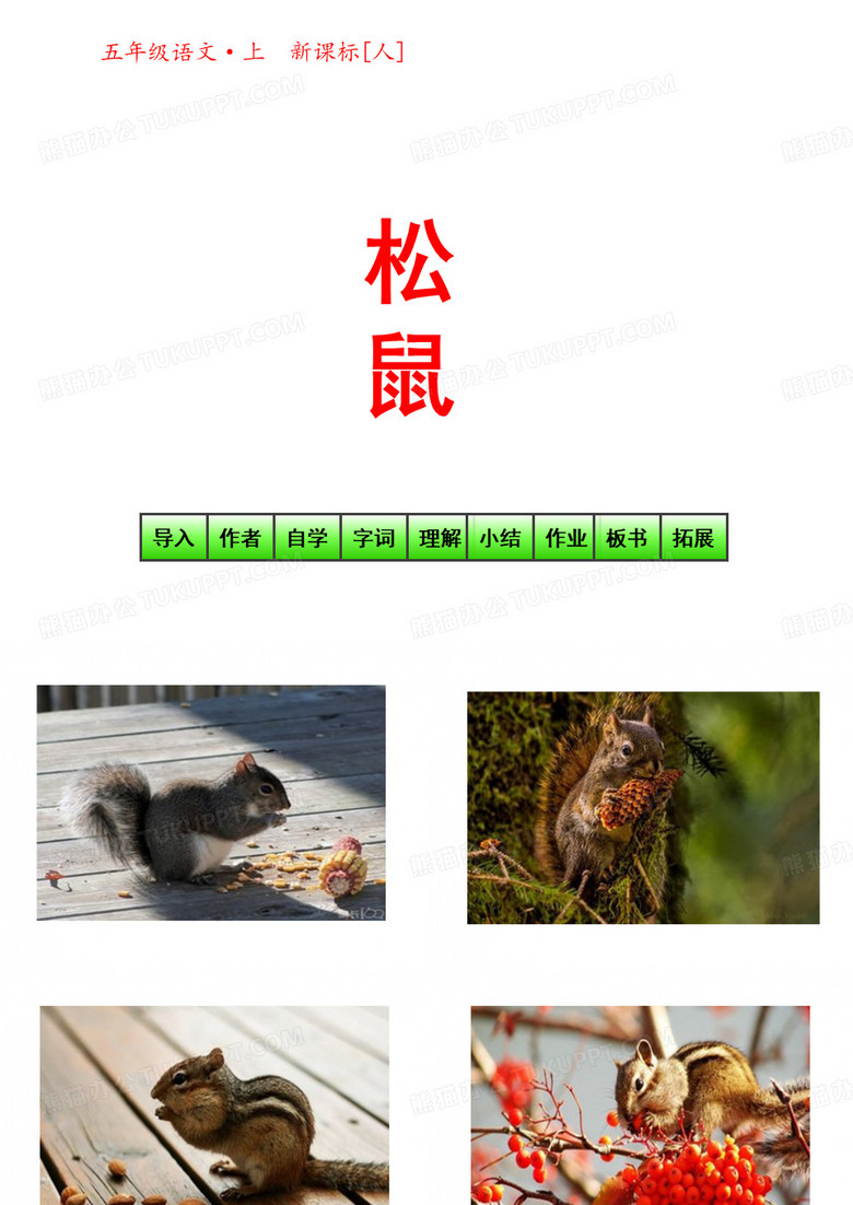 人教版五年级上册松鼠