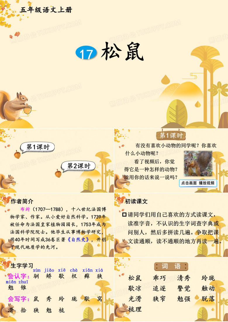 语文人教五年级上册《松鼠》