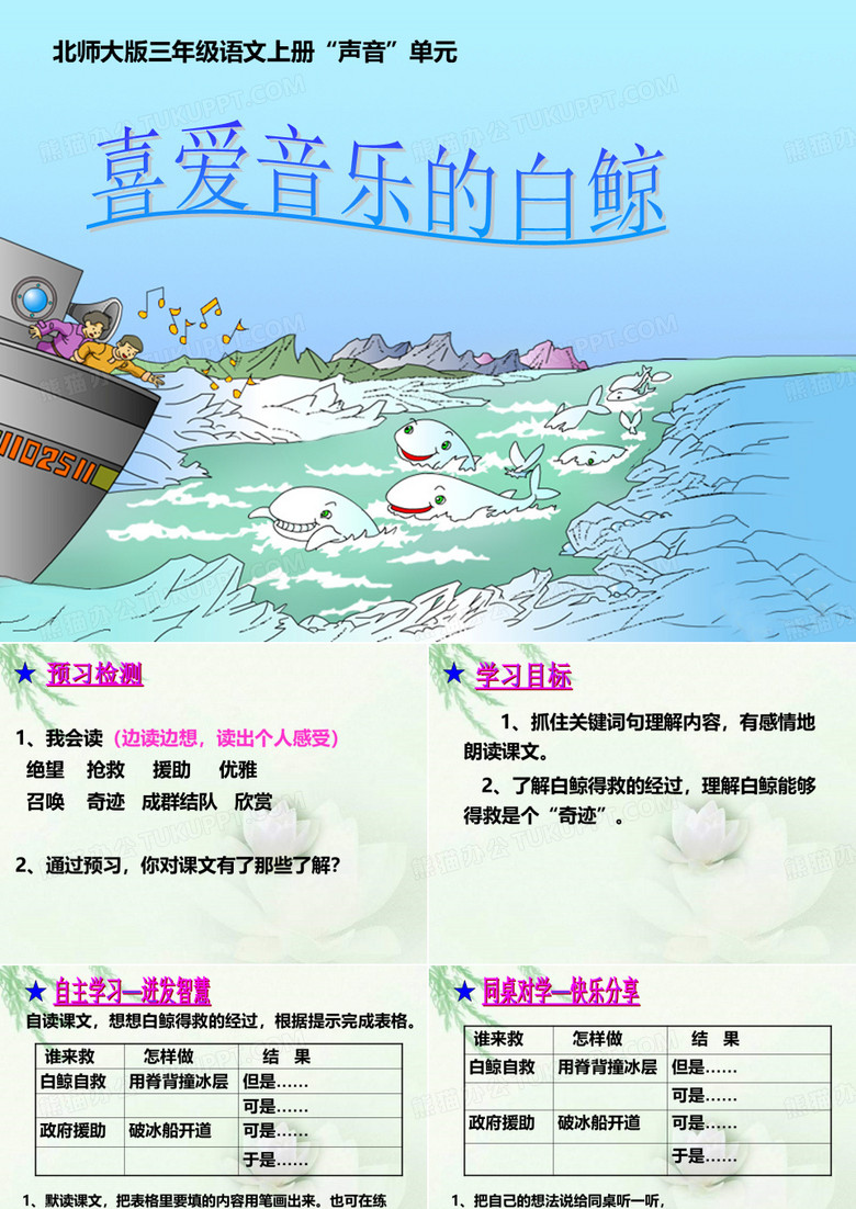 喜爱音乐的白鲸