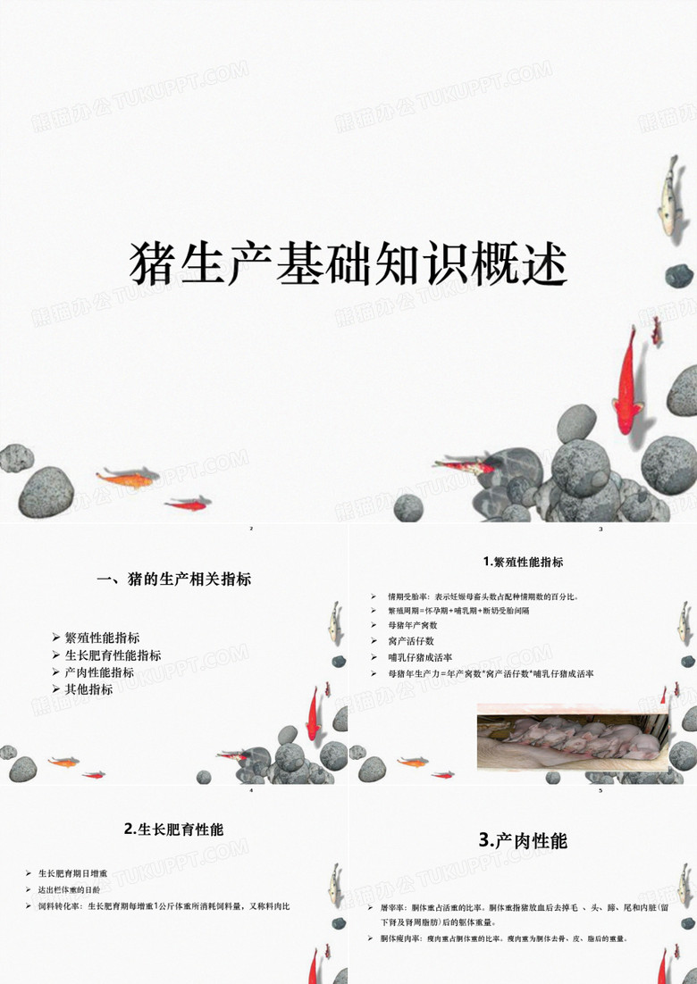 猪生产基础知识概述