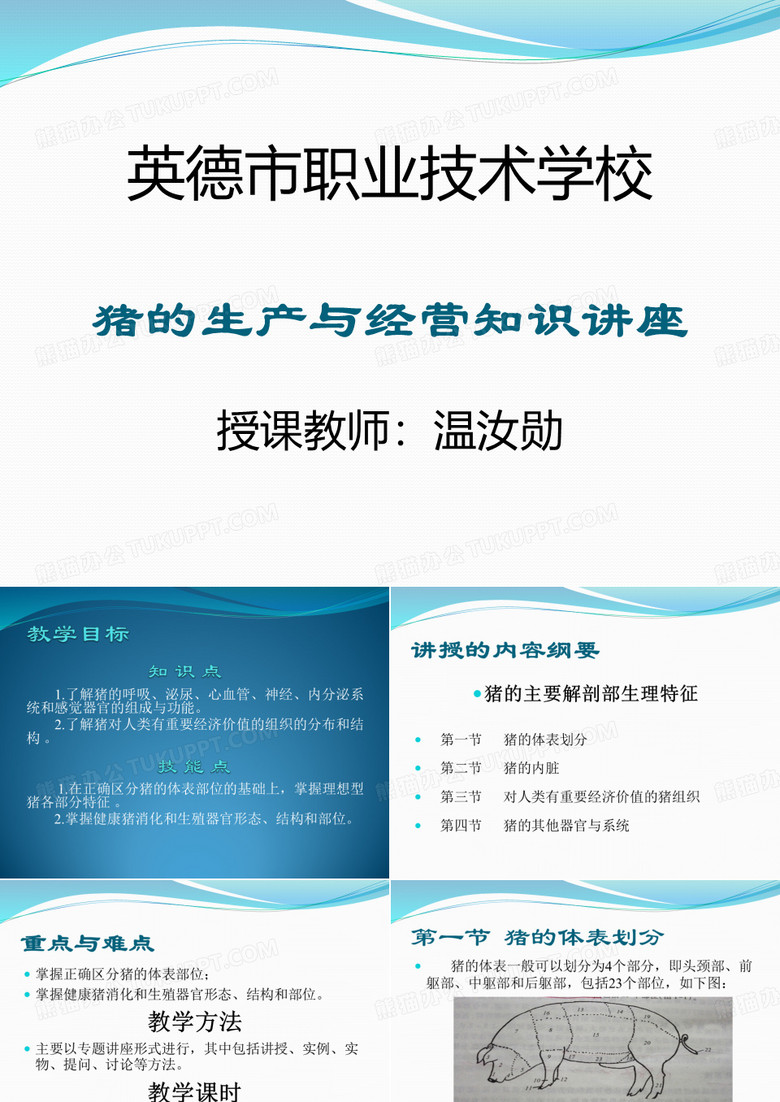 猪的生产与经营(第一章)