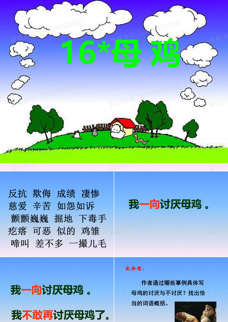 16、母鸡