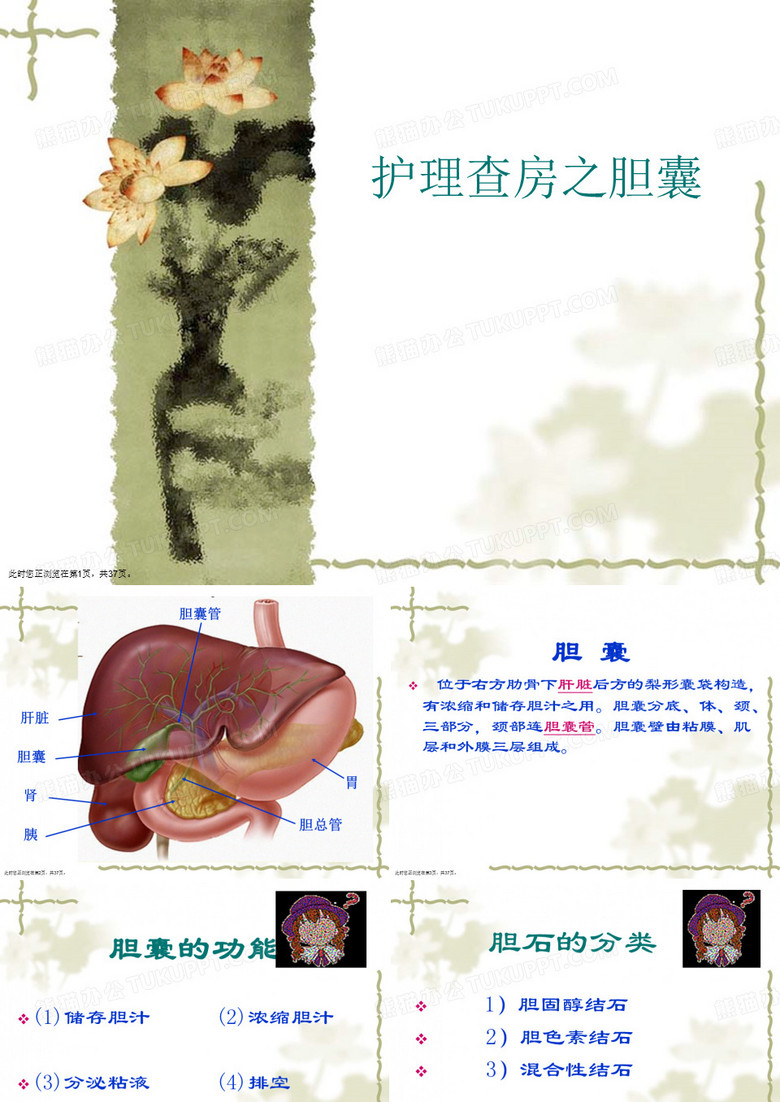 护理查房之胆囊