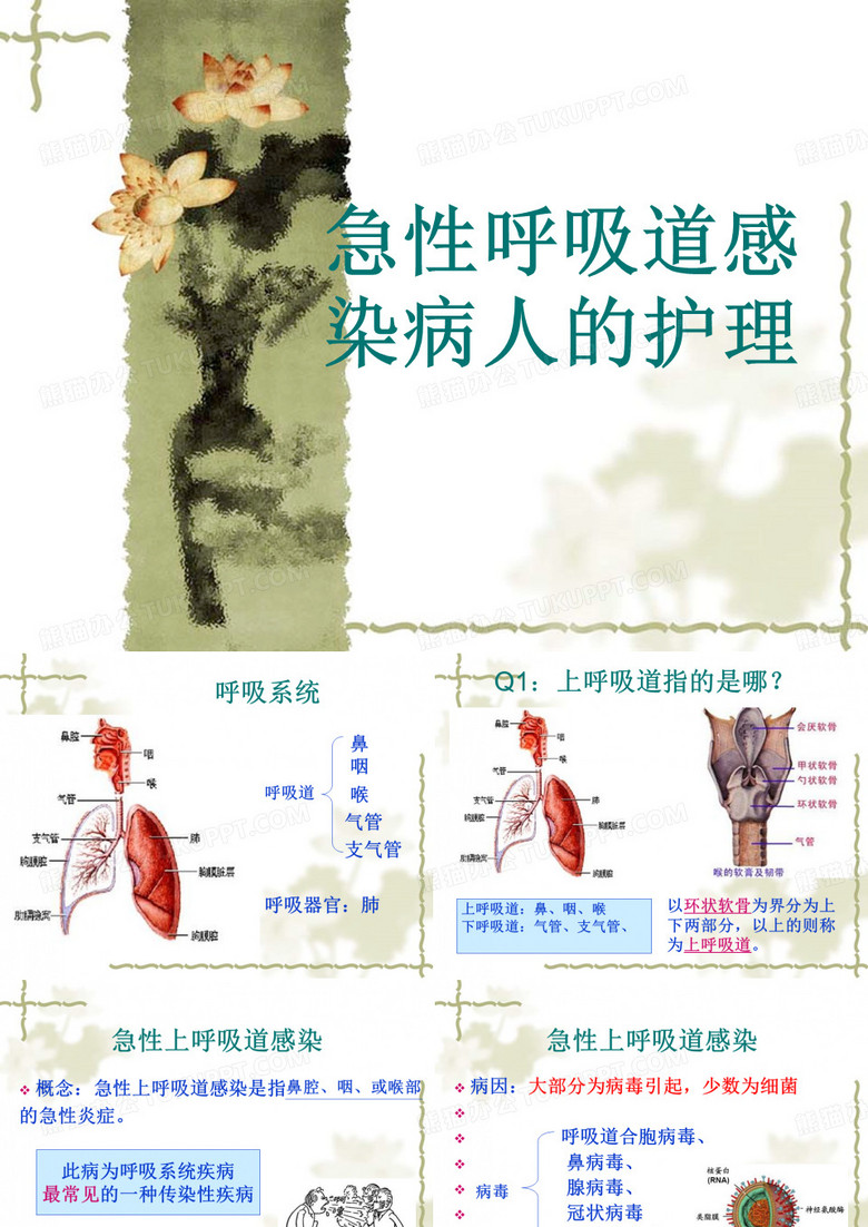 1-急性呼吸道感染