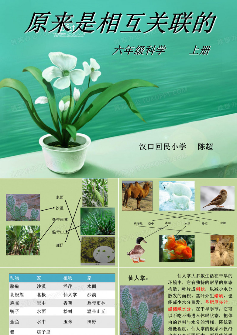 原来是相互关联的(1)