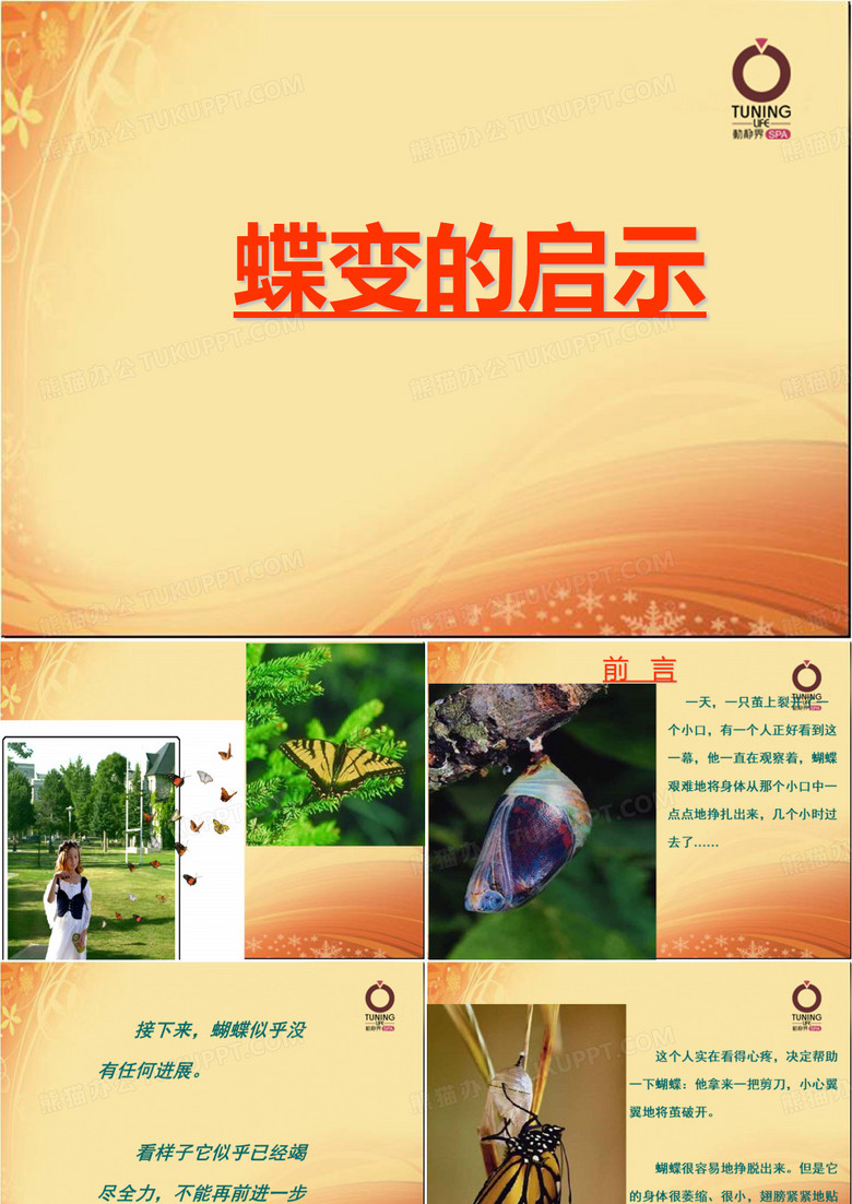 蝶变的启示