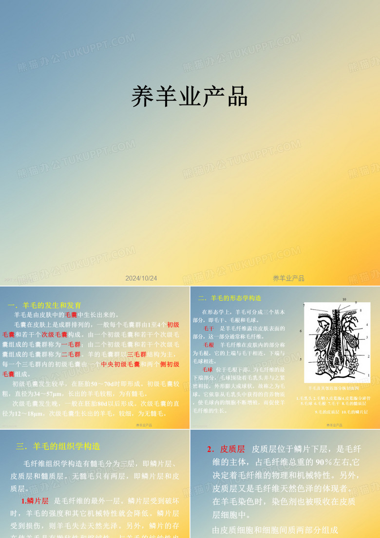 养羊业产品