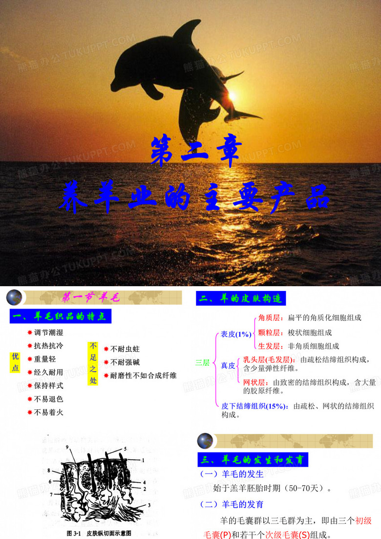 养羊业的主要产品概述