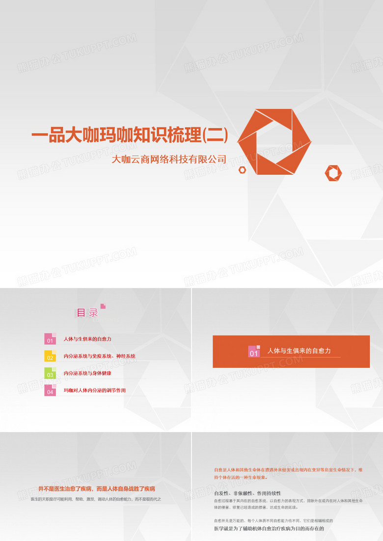一品大咖玛咖知识梳理 PPT课件