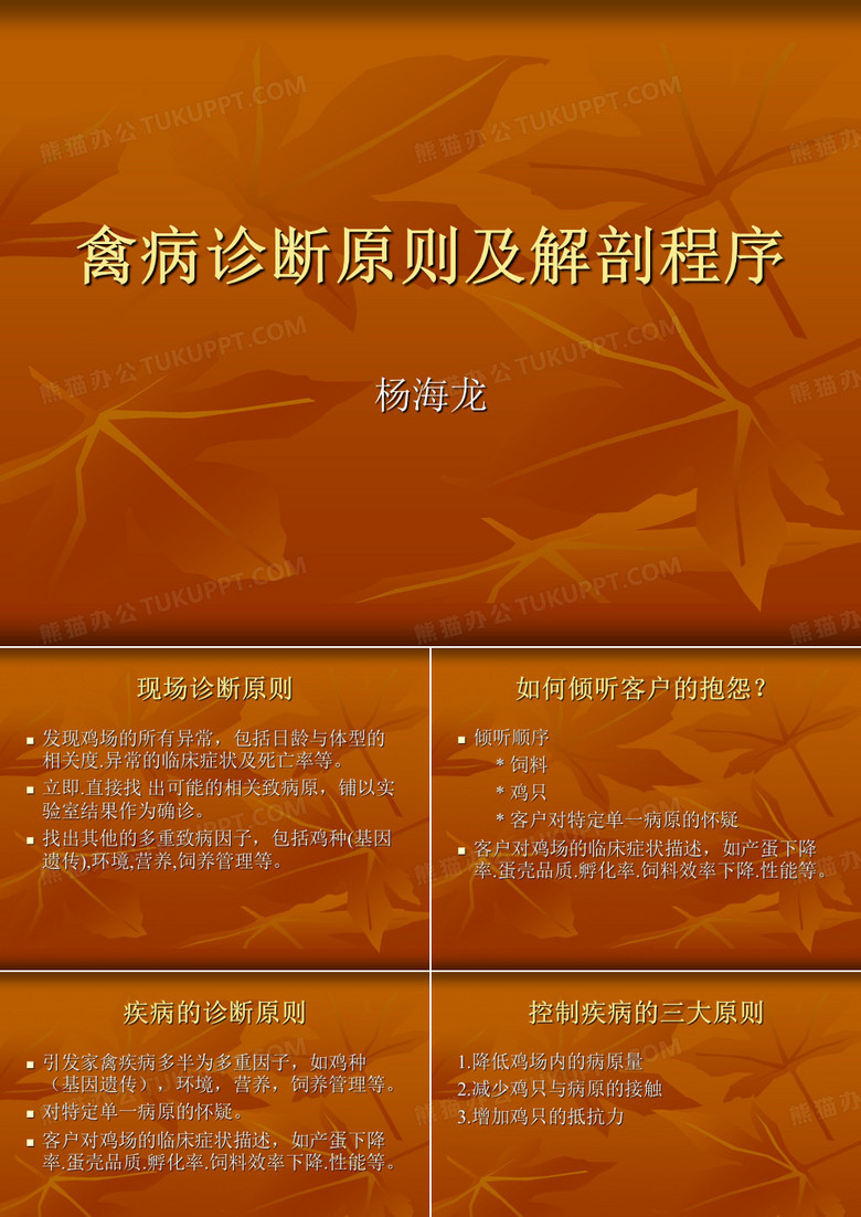 禽病诊断原则及解剖