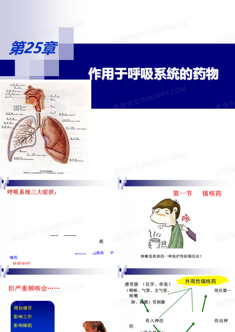 镇咳药与平喘药