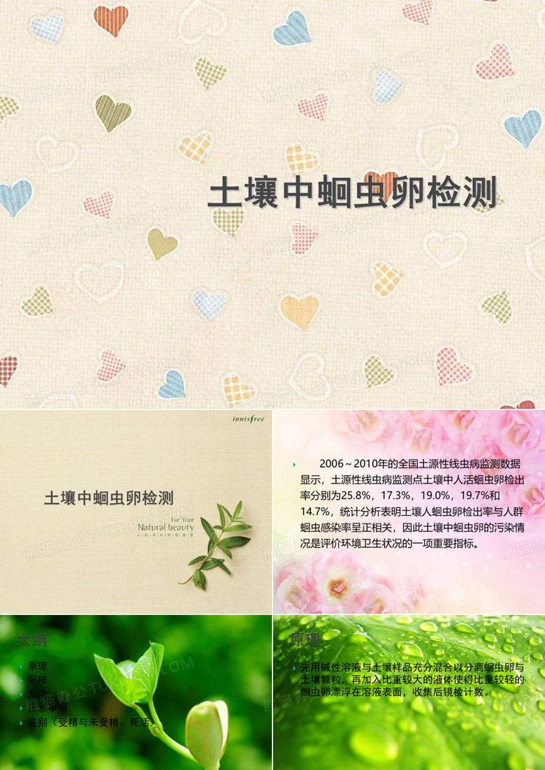 土壤中蛔虫卵检测