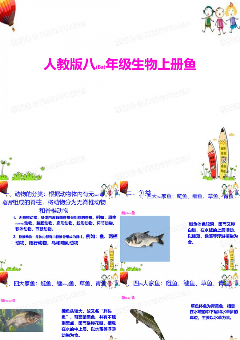 最新八年级上期生物鱼同步教学课件人教版