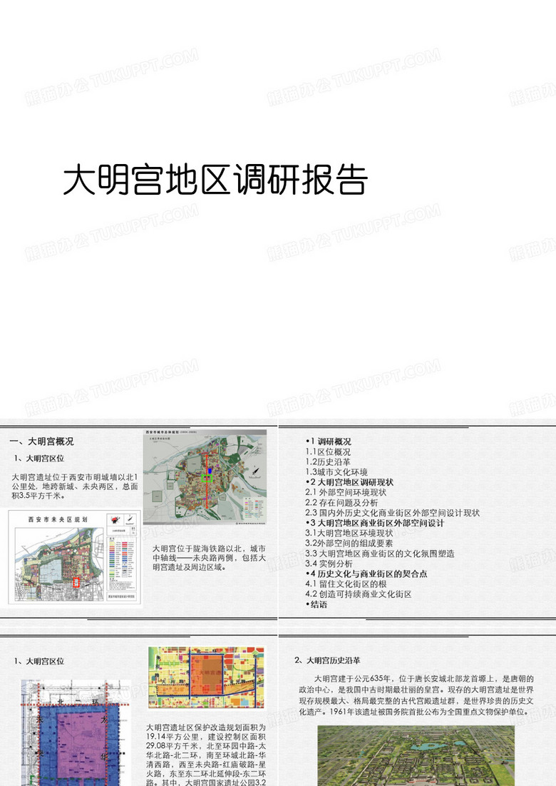 大明宫地区调研报告