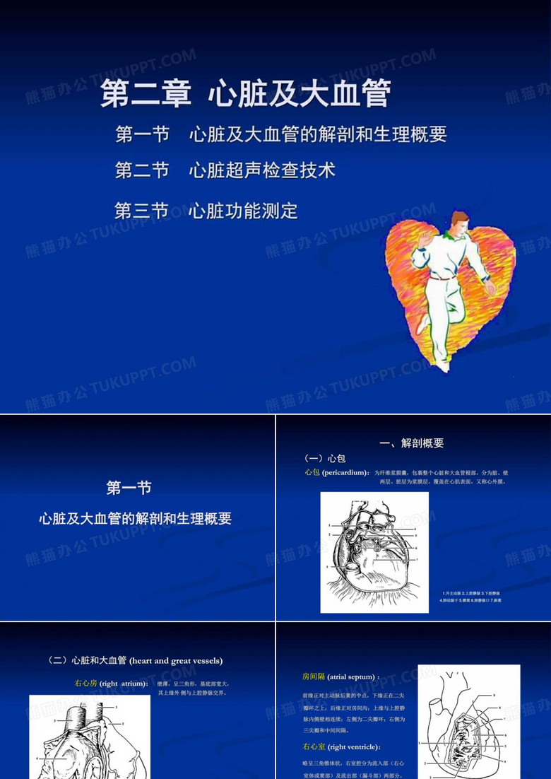 心脏彩超实际操作