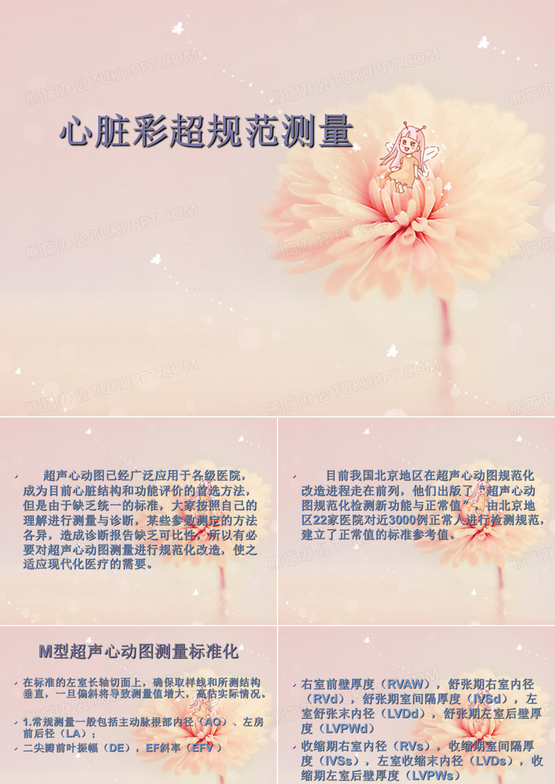 心脏彩超规范测量